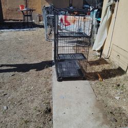 Cage