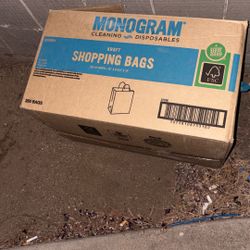 Restaurant Take Out Bags 250