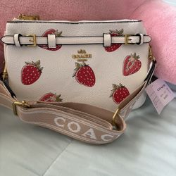 Cartera De Fresas 