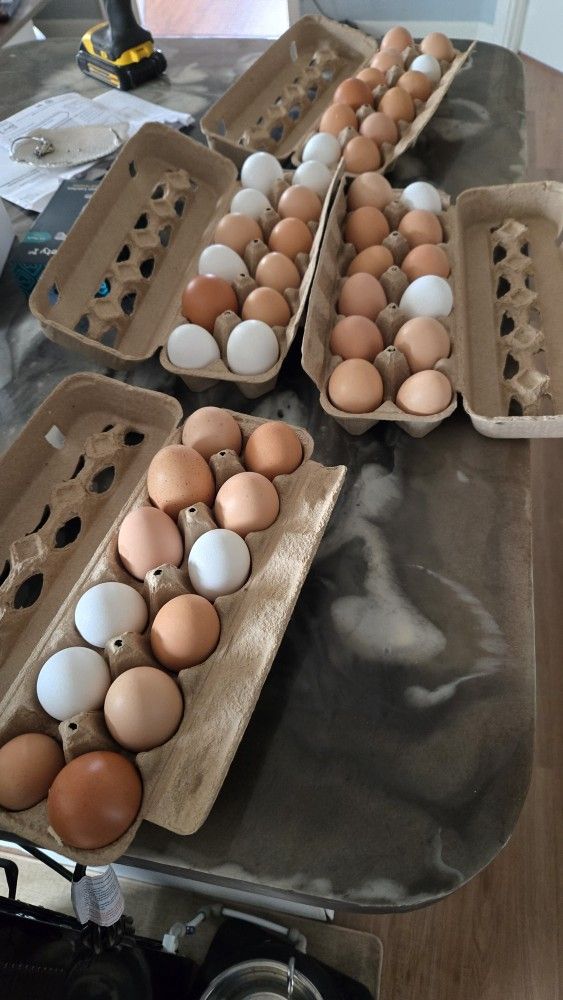 Farm Fresh Eggs