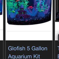 Glo FishTank