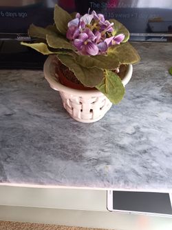 White Ceramic Lattice Planter with African Violet
