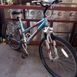 Bike SCHWINN Tires Size 26 Good Condition 