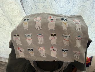 Dog/cat Carry Bag