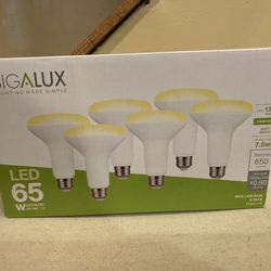 Recessed Can Light Bulbs
