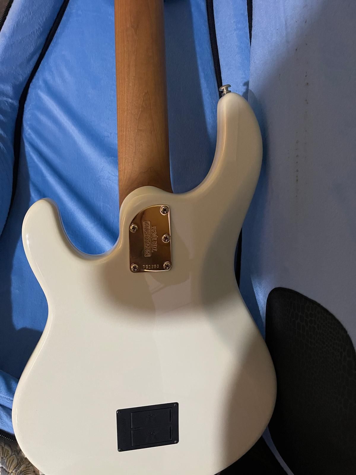Bass Guitar
