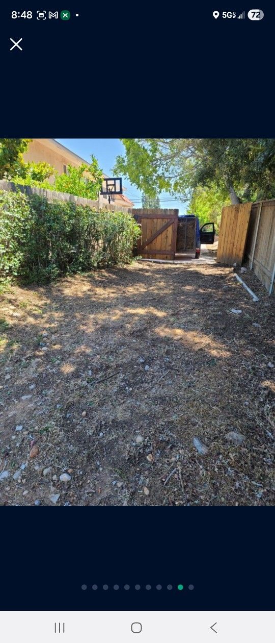 Weed Wack And Clean Up