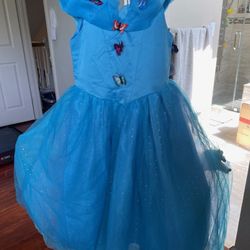 7-8 Year Princess Costume