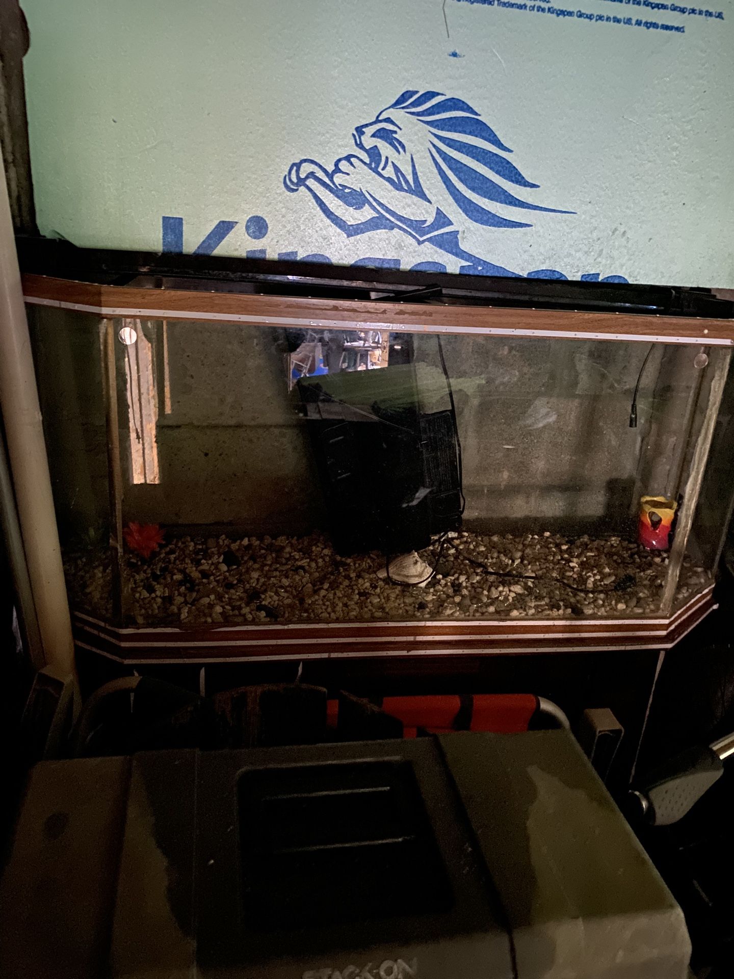 55 gallon fish tank