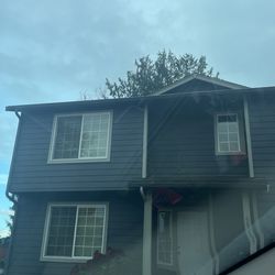 Roof and gutter cleaning