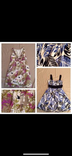 Women's dresses and Taylor loft and studio 1