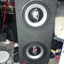 Rockford Fosgate Punch Z 10in