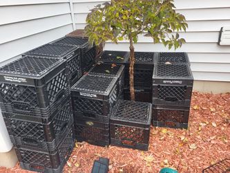 Milk Crates