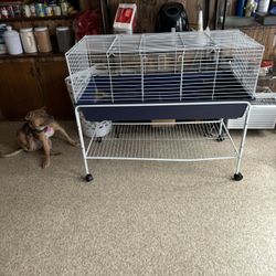 Small Animal Cage Best Offer ( Brand New)