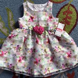 Iris & Ivy Floral Dress *SIZE 18M*