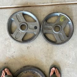2 25lb Weights