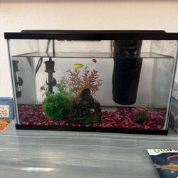 Fish Tank With Accessories
