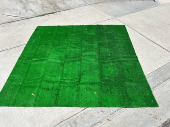 Turf