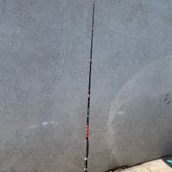 Penn Mariner Fishing Rod