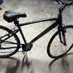 Infinity Boss 3 Bike