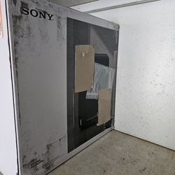 Sony SW5 Subwoofer 