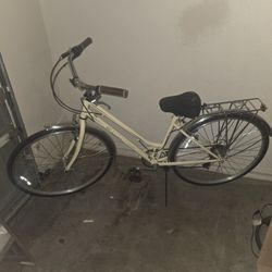 Schwinn Cruiser