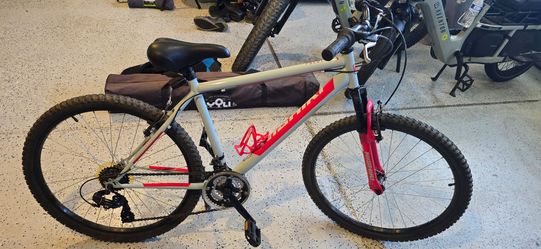 Nishiki Mountain Bike Light Blue and Red