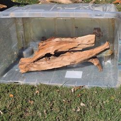 Organic driftwood in tote simulating tank