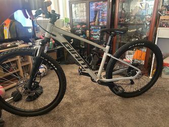 Giant bike