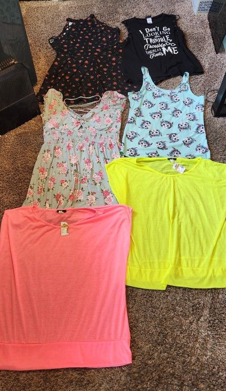 6 Piece 3xl Xxxl Womens Clothing Lot 2 Dress 4 Shirts