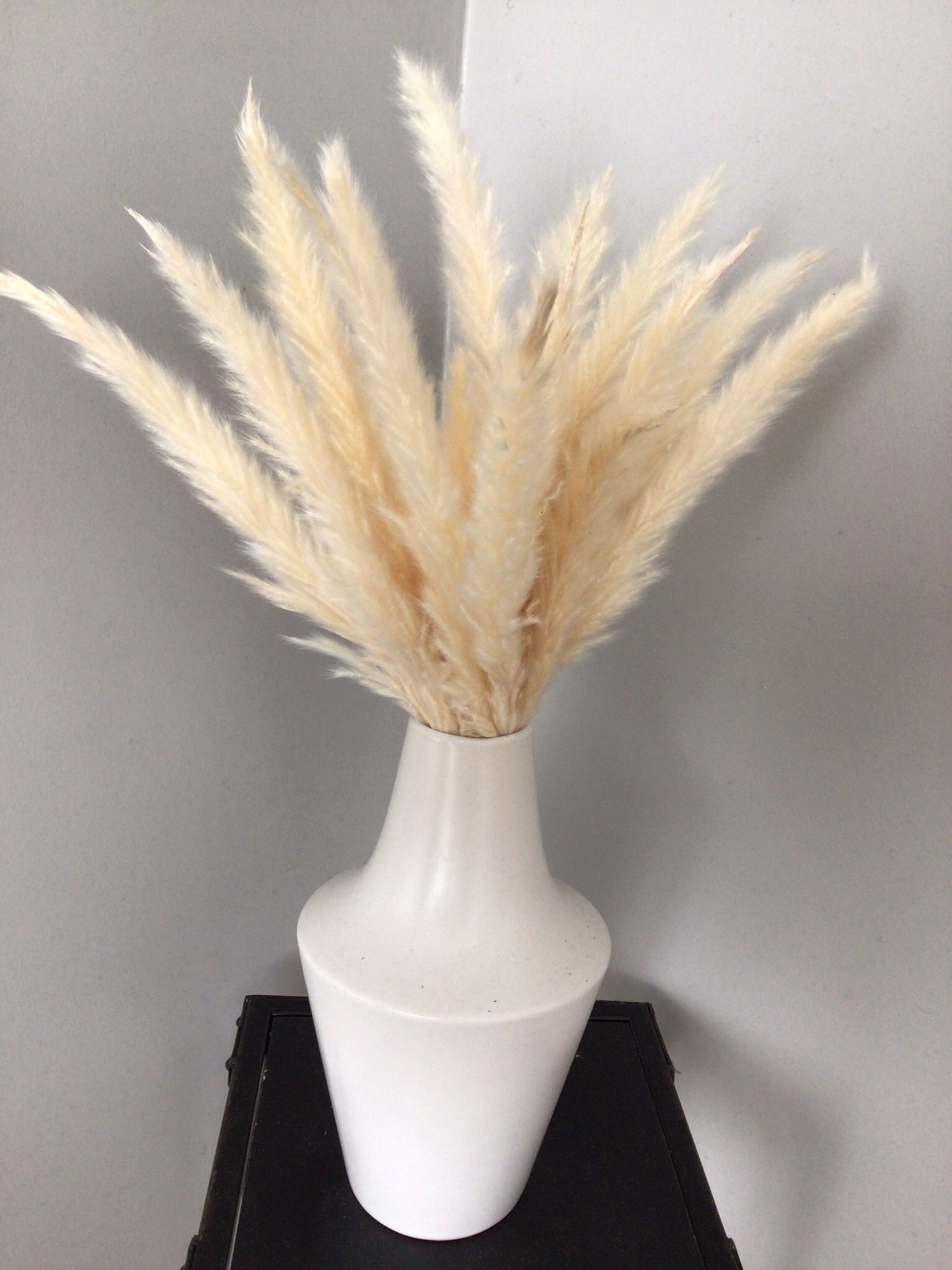 White Vase With Foliage 