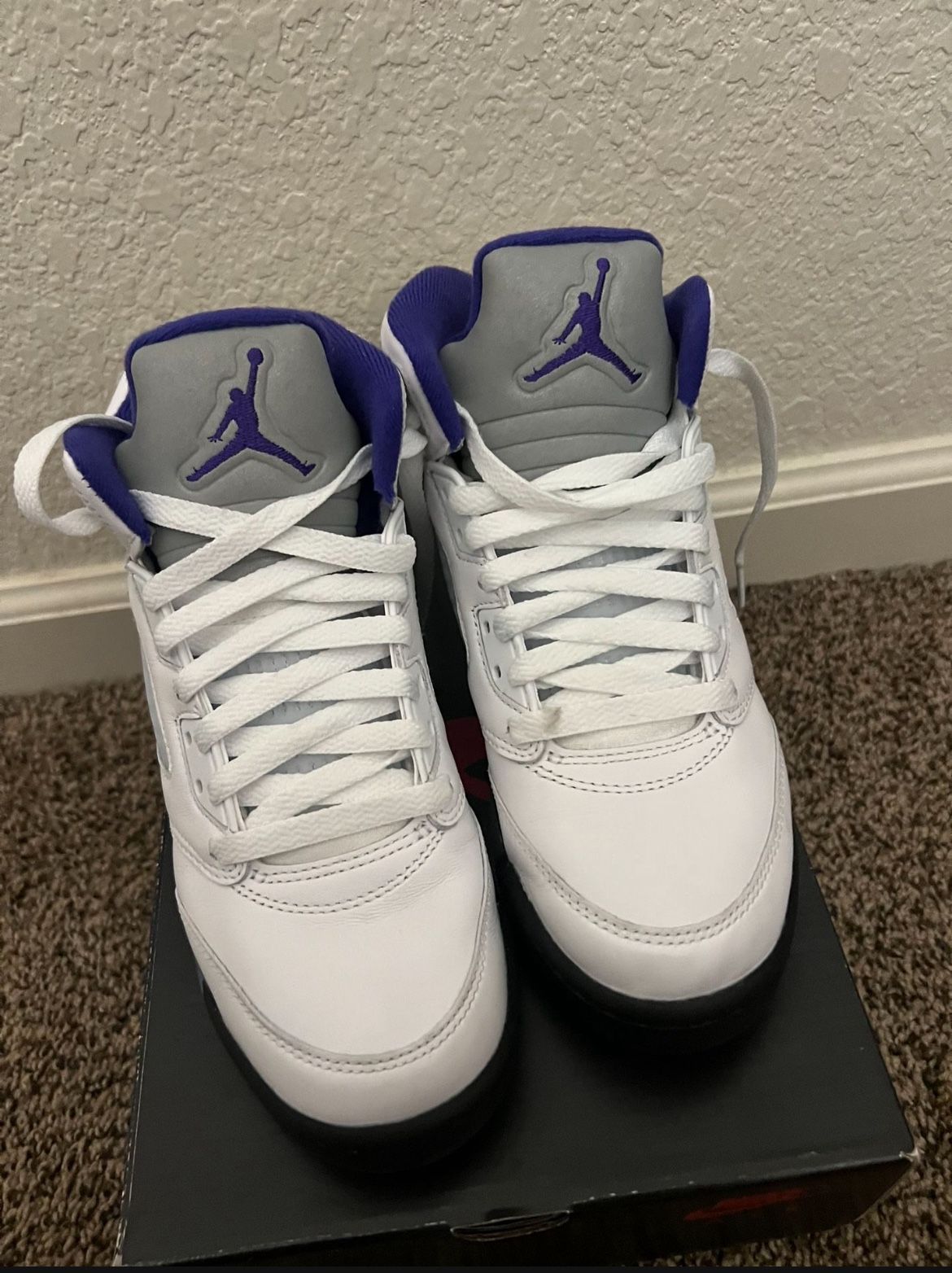 Air Jordan 5