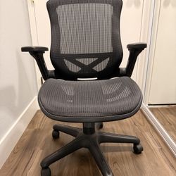 Ergonomic Office Chair 