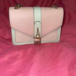 Aldo Purse 