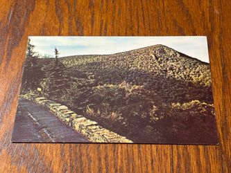 Vintage Postcard - Shenandoah National Park, VA