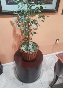 Wooden base pot and artificial plant