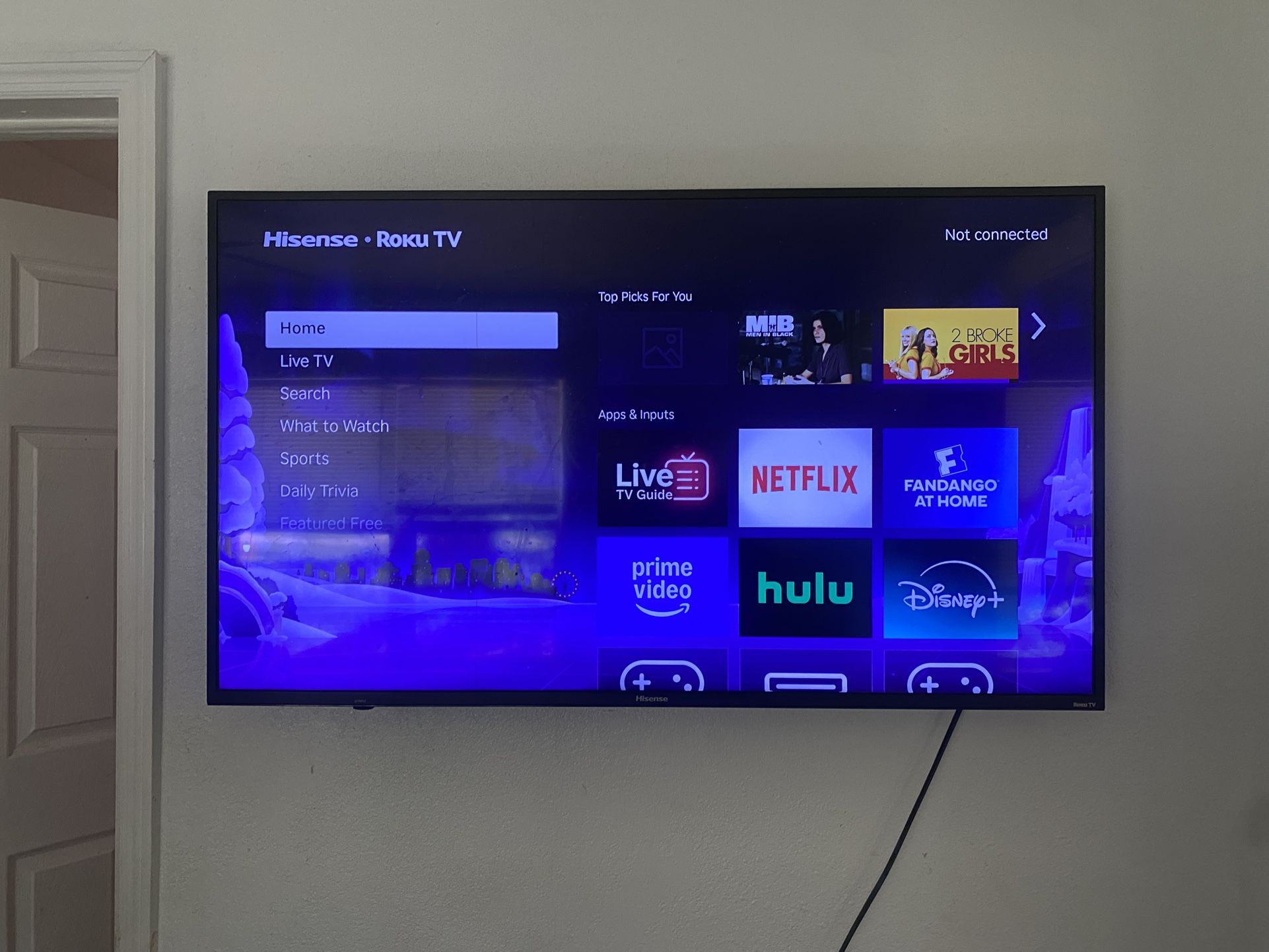 55 Inch Roku Tv