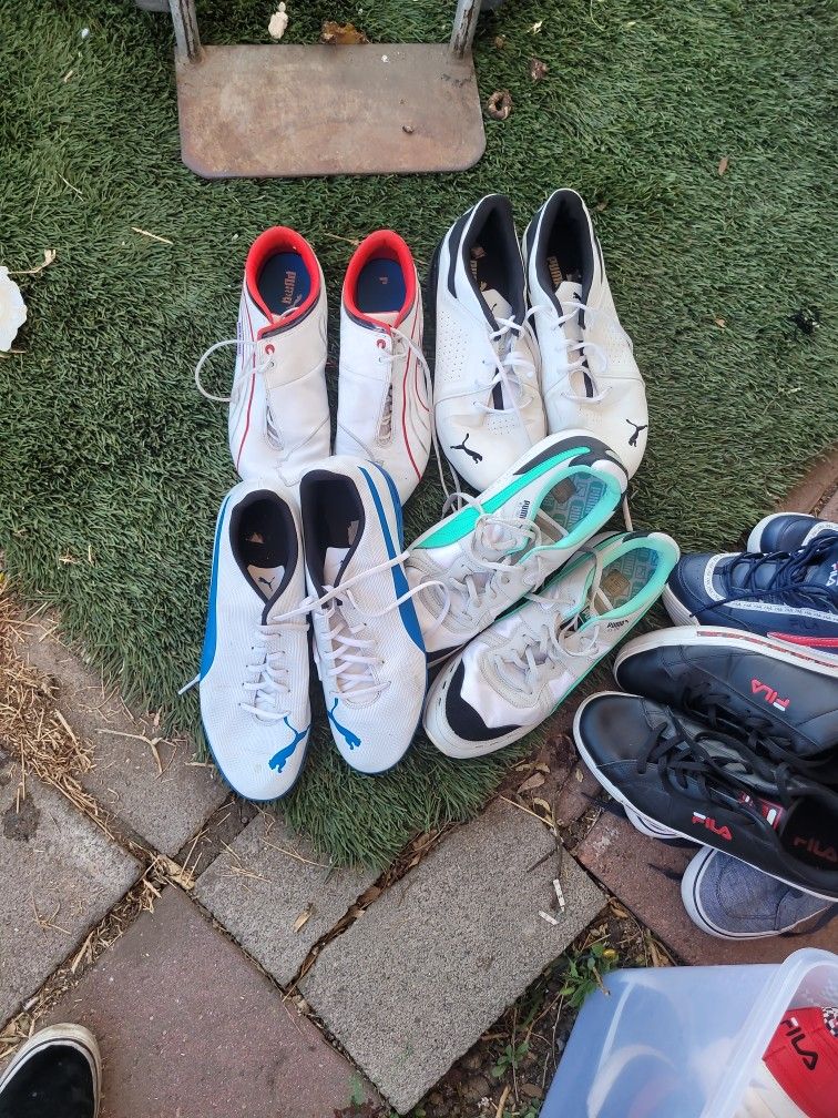 Tenis Pumas