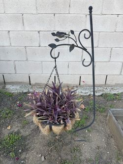Bird plant hangers