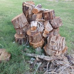 Eucalyptus  Fire Wood