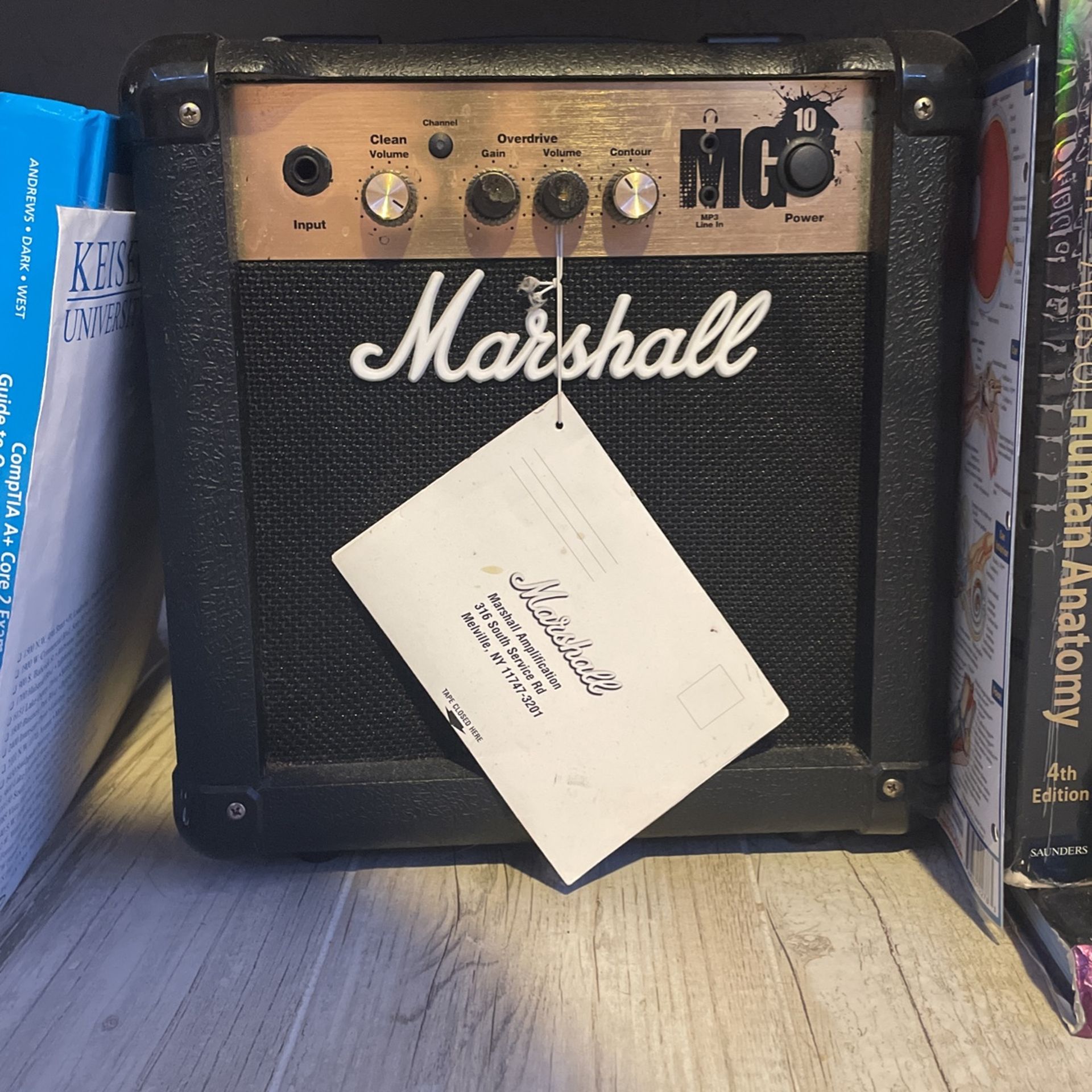 Marshall Amplification 