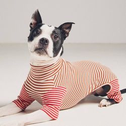 Size Small Dog Pijamas ✨new