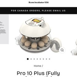Egg Incubator 