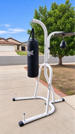 Punching bag and stand