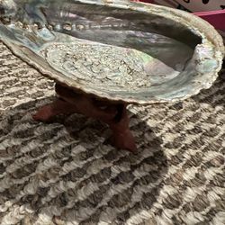 Authentic Sea Shell Stand Witchcraft