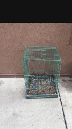 Bird Cage