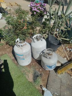 Propane tank $15 bug $10 small