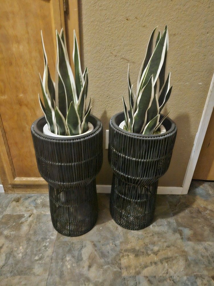 Fake Plant Decor With Stands