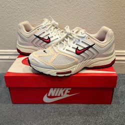 Nike Air Pegasus 2K5