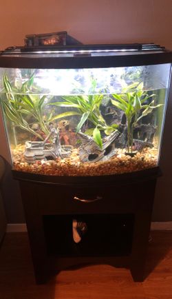 Fluval Bow Front Fish Tank- 28 Gallons